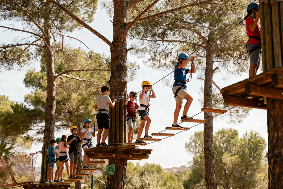 Enfants avec casques sur parcours d'accrobranche en forêt, traversant passerelles suspendues entre arbres.