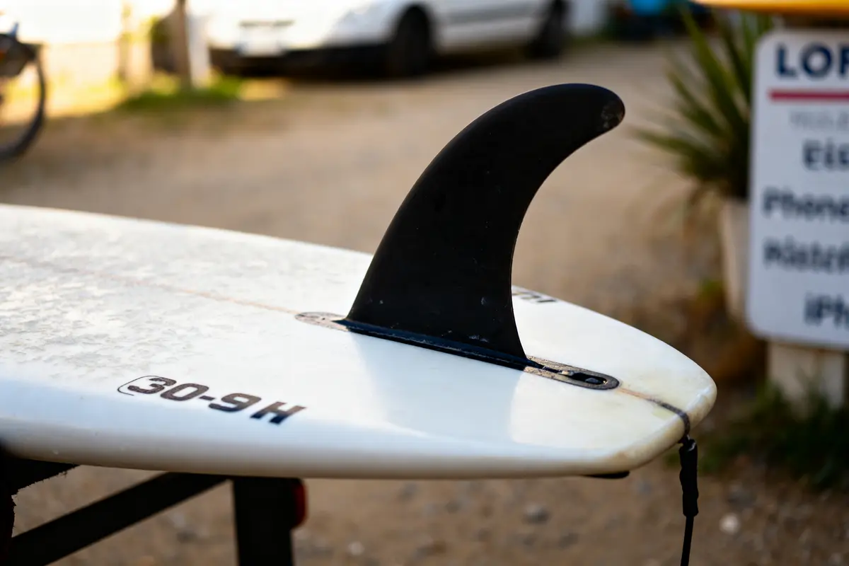 Planche fish en surf : performances, choix et polyvalence